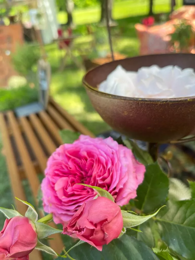 florales Design Interieurdesign-Beate Boerger